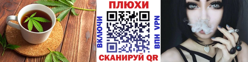 Canna-Cookies марихуана  гидра как войти  Сурск 